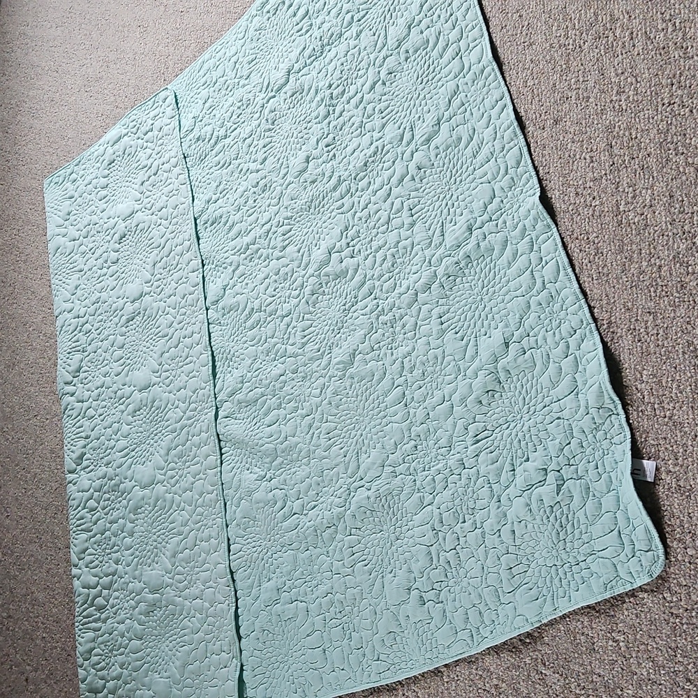 New Home Expressions Light Green Floral Quilt.